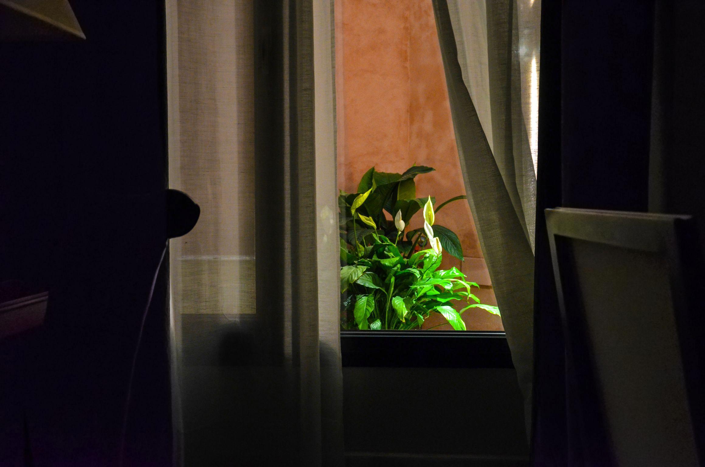 Aguilas5 Sevillasuites Экстерьер фото